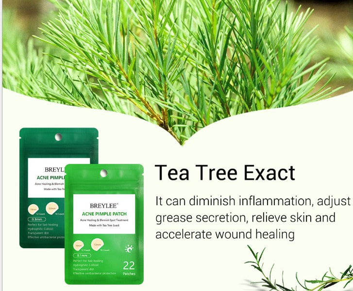 Tea Tree Acne Marks